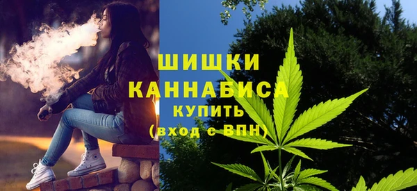 сатива Нефтегорск