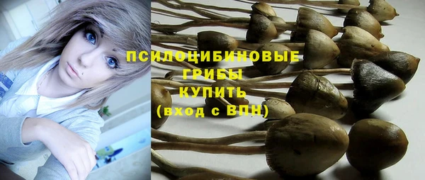 MDMA Новозыбков