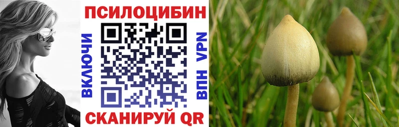 OMG онион  Николаевск-на-Амуре  Псилоцибиновые грибы Magic Shrooms 