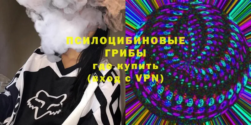 Псилоцибиновые грибы Magic Shrooms Николаевск-на-Амуре